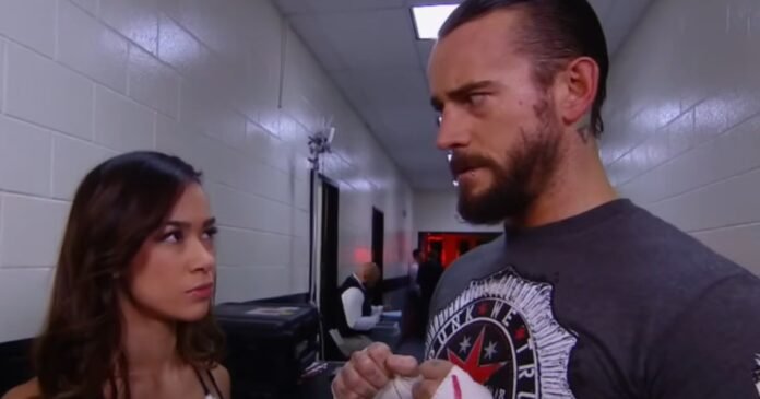 Who Is CM Punk’s Wife? AJ Lee’s Job & Relationship History