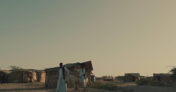 Sudan-Egyptian doc ‘Dry Sky’ wins best pitch at IDFA Forum