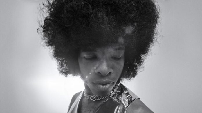 Questlove’s Sly Stone Documentary Sly Lives! to Premiere on Hulu