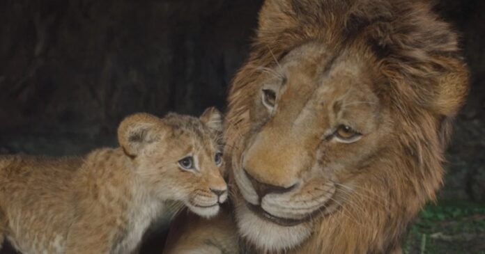 MixCollage-27-Feb-2025-11-58-AM-774.jpg Mufasa’s Box Office Joins Wicked, Dune 2 & 4 Others With New Milestone