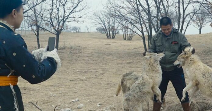 ‘Animality’ review: Ai Weiwei explores our often shocking relationship with animals