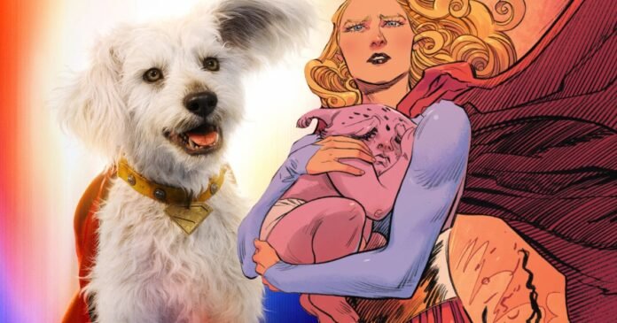 James Gunn Says ‘Rougher’ Supergirl Movie Could Mean Bad Things for Krypto