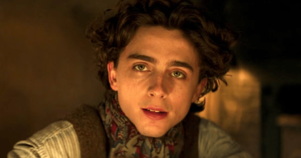 Timothée Chalamet Reteams With Logan Director for Heist Movie (Update)