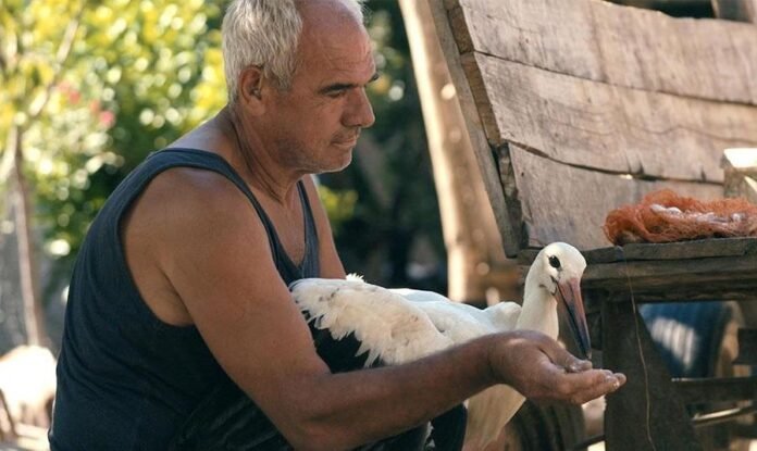 ‘The Tale Of Silyan’ review: Tamara Kotevska follows ‘Honeyland’ with portrait of Macedonian farmer